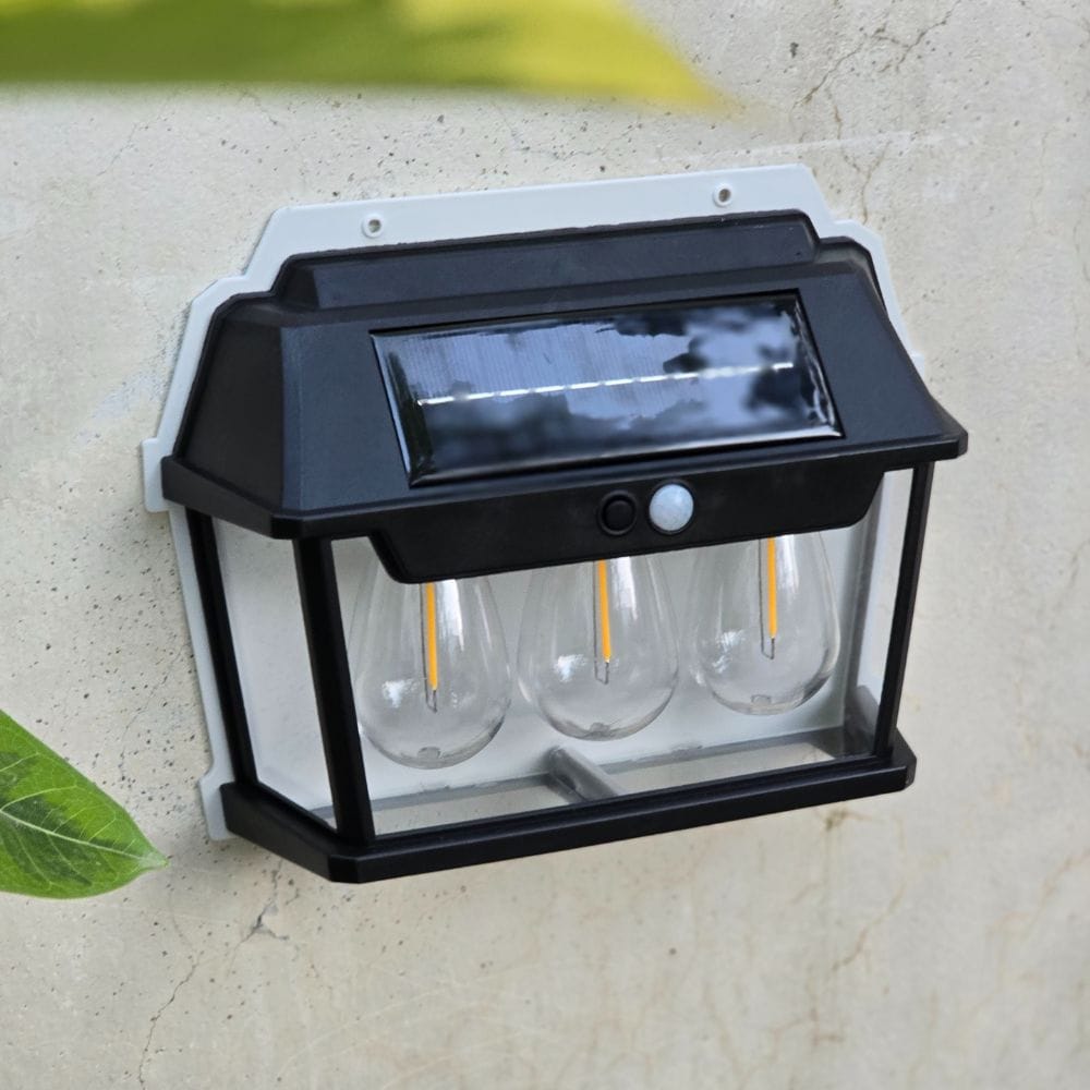 solar-3-bulbs-day-1